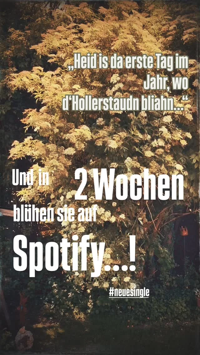 Speichern ned vergessen - da kommt was Feines!
Ab 4.7. gibts die neue Single „Hollerkiacherl“. Wer Lust hat kann sich diese natürlich vorab scho sichern. Warum?  Ned dass dann alle weg san…de frischen Hollerkiacherl von da Oma 😋!

#neuesingle #hollerblüten #feinesvondaheim #lieblingsessen #sommersingle #hollerkiacherl
