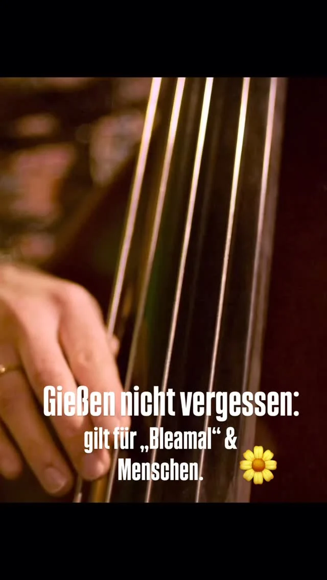 🌞 „Stoa auf Stoa“ – live und leicht überhitzt

35 Grad, null Regen, und trotzdem ein Bleamal mit Haltung.
Da Stoa sagt: „Schleich di!“
As Bleamal: „Sicher net.“

Ein Lied über harte Böden, dichte Mauern – und was man trotzdem draus machen kann.
💧 Gießen nicht vergessen – gilt für Pflanzen und Menschen.

Hier ein Live-Mitschnitt vom Konzert beim Dinzler. Das ganze Lied zu hören gibts auf Spotify und überall.

Merci Lili Pongratz für 🎥 
Merci Johann C. Auer (@hanziach) für den Sound.
#
#stoaaufstoa #LieberEineBlume #livekonzert #gießmich #werwillschonsteine