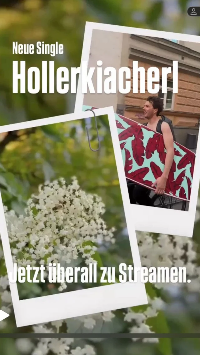 Releasetag „Hollerkiacherl“…
Seit heute gibt’s den neuen Song. Dahoam – des is für jede:n a bissl anders. Für uns klingt’s wie Hollerkiachal, riecht nach frische Wiesn und fühlt sich an wie frei sei.
🎶 Unser neuer Song „Hollerkiachal“ is draußen – für alle, die einfach mal gern abschalten.

👉 Link im Profil. 🌸 #ReleaseDay #neuersong #hollerkiacherl #liedermacher #mundartfolk #reiwas #lieblingsessen