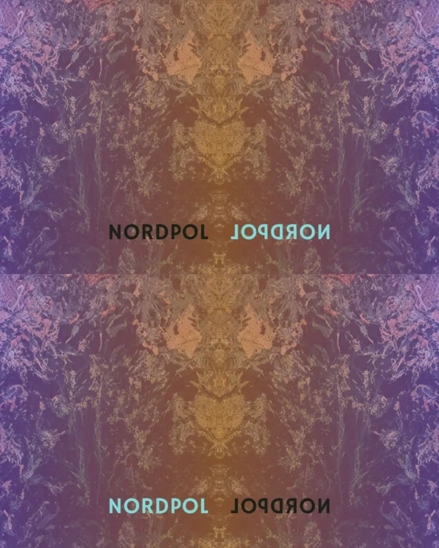 „An was hast du als Kind scho dacht?“.
Diese Fragen stellen wir uns im neuen Lied „Nordpol“, das am 7.11. rauskommt.
Klingt kalt, fühlt sich aber warm an!
 ❄️ 
#nordpol #neuesingle #kindheit #träume #winterland #winterzeit #mundartfolk #reiwas