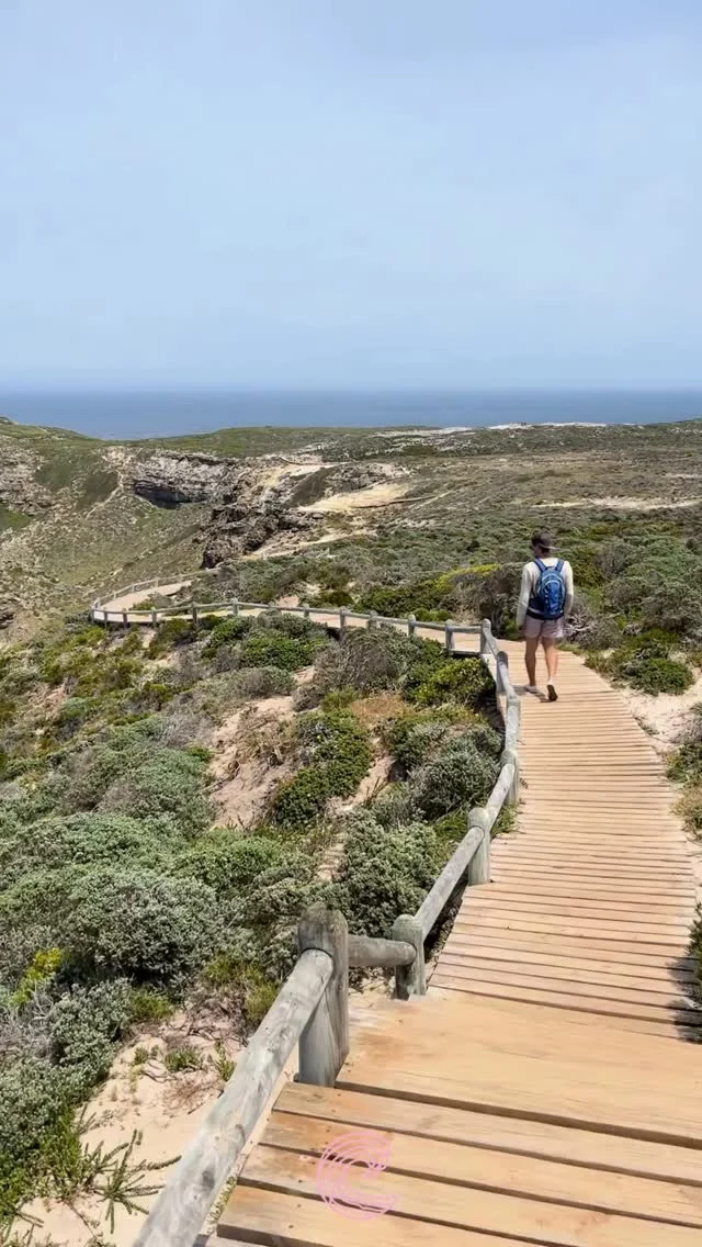 Freier Mensch.
Draußen.
Allein.

Freier Mensch.
Was heißt‘s für di?

#freiermensch #neuesalbum #reiwas #freiheit #natur